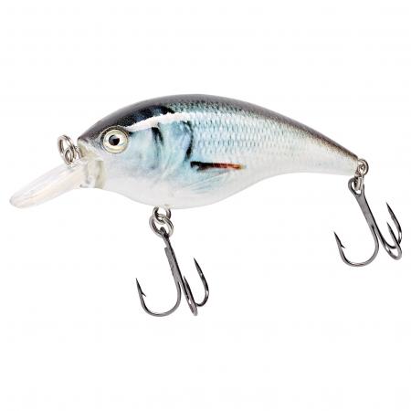 Kogha Wobbler Midi Water (Super Roach)