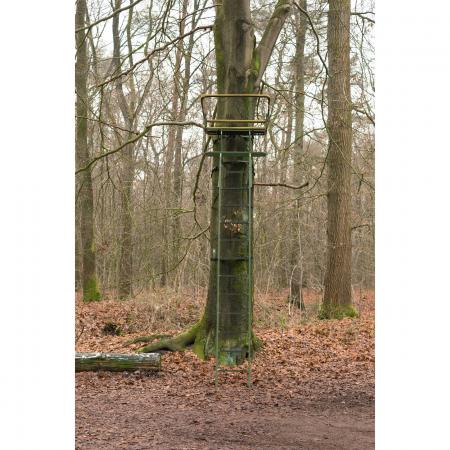  Baumsitz Grober Keiler