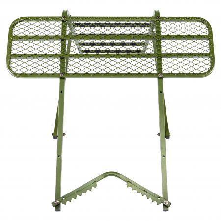  Baumsitz Grober Keiler