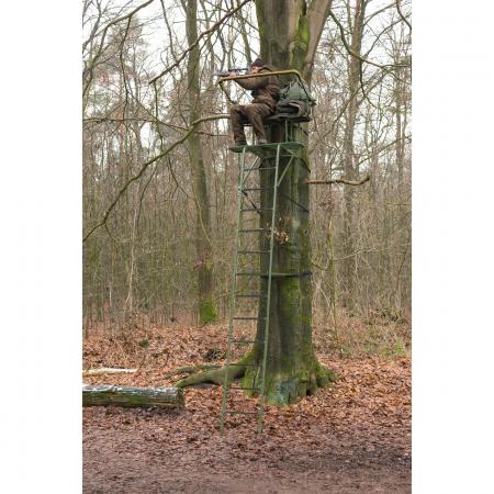  Baumsitz Grober Keiler