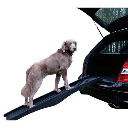  Dog ramp