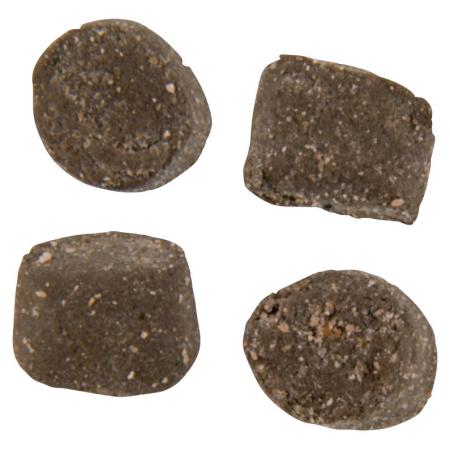  Powerbait Trout Nuggets