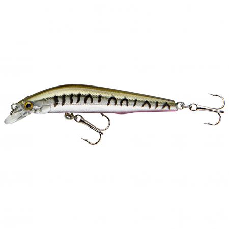  Wobbler Cor F11 (Striped Seed)
