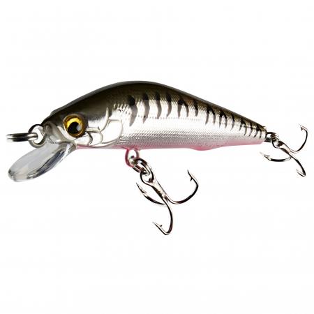  Wobbler Cor F11 (Striped Seed)