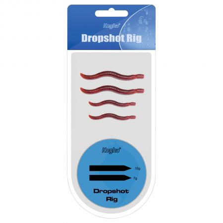  Dropshot Rig (Worm)