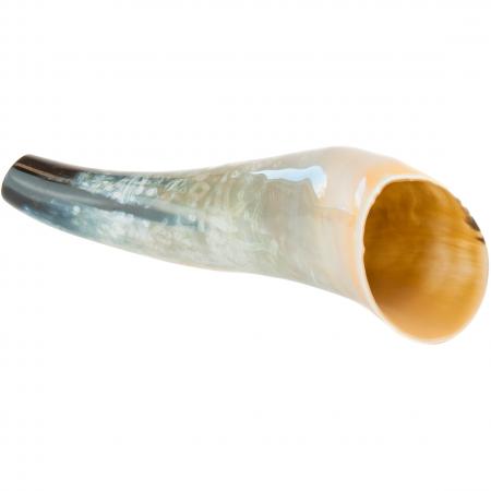  Ox horn deer call