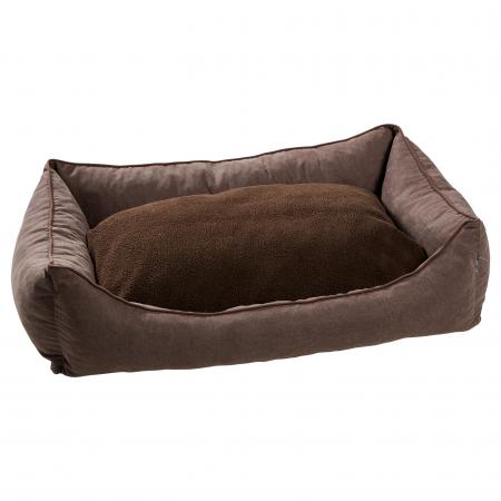  Dog Cushion Dreamland