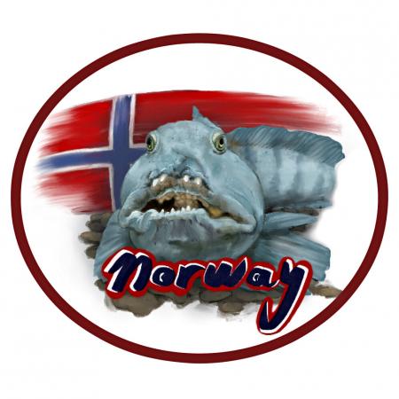 Aufnäher "Norway"