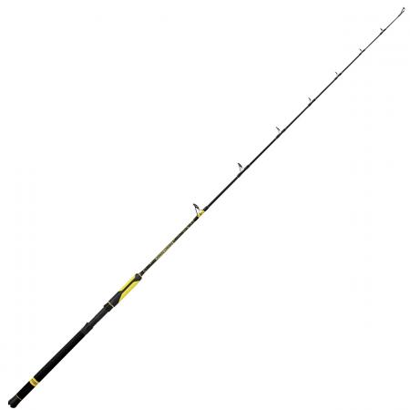  Fishing Rod Perfection Passion Vertical