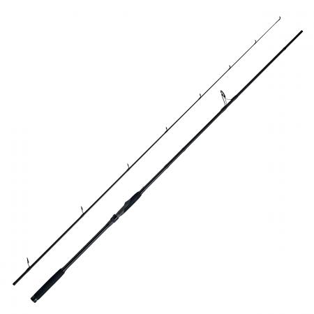  Spinnrute Shad Control R