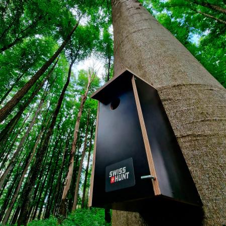  Nest box for cavity nesting birds
