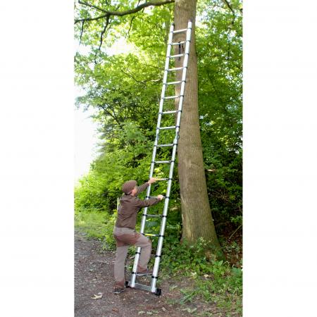  Tele-Revierleiter