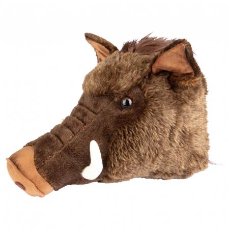  Keiler Trophäe