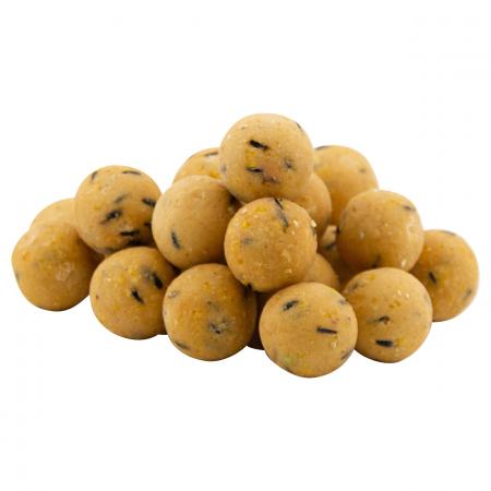  Boilies Maple Cream
