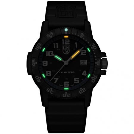  Leatherback SEA Turtle Giant watch (0324)