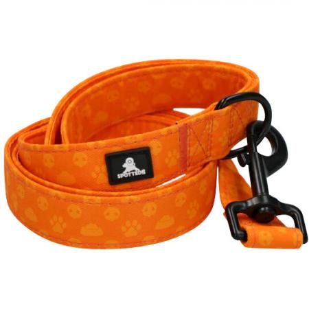  Leine Orange