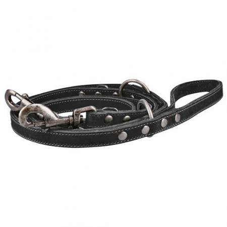  Leder Trainingsleine