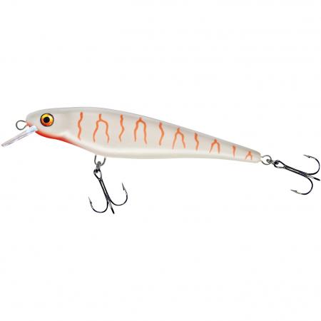 Hechtschrecke (Albino)