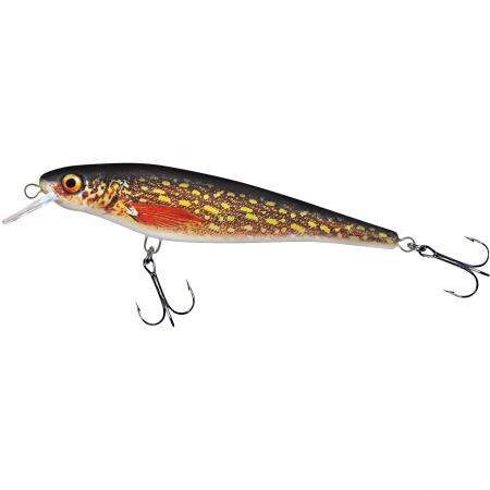  Hechtschrecke (Natural Pike)