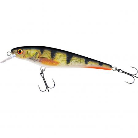  Hechtschrecke/Pike Grasshopper (Clear Perch)