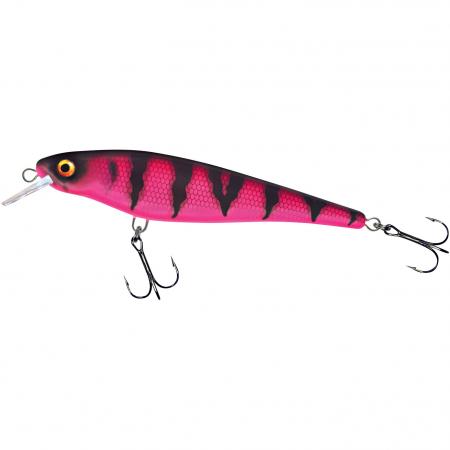  Hechtschrecke/Pike Grasshopper (Pink Tiger)
