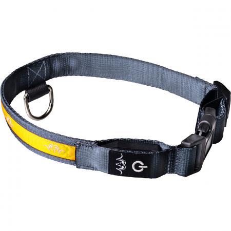 Blaser Halsband LED