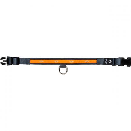 Blaser Halsband LED