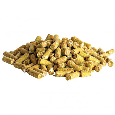  Fast Dissolve Pellets (Vanille)