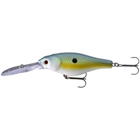  Swift Crank 250 (blue perch)