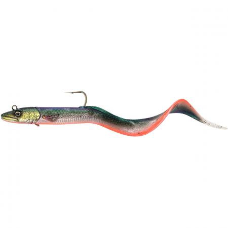  Conger Eel  (Firebelly)