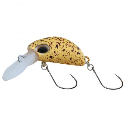 Paladin Mister Bean (schwimmend, C)