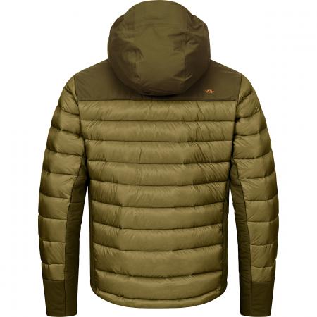 Observer Jacke Herren (Dunkel Oliv)