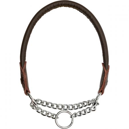 Blaser Leder Hundehalsung (Braun)