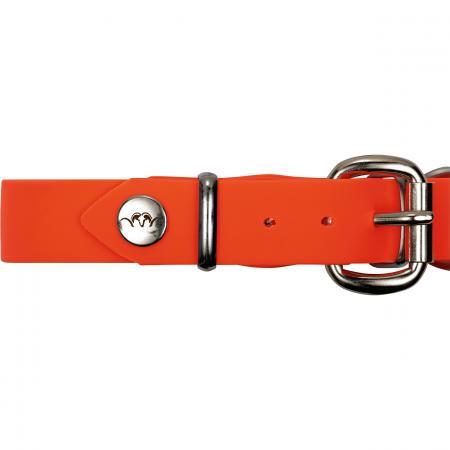 Blaser Hundehalsung Professional (Orange)