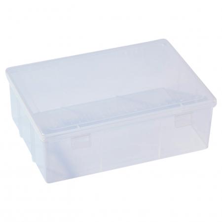 Salmo Kunstoffbox (klein)