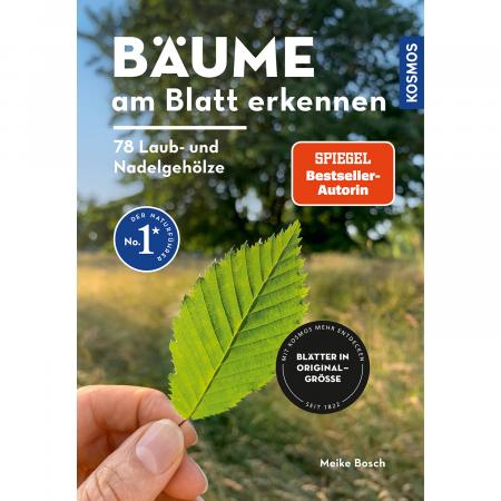  Recognizing trees by their leaves - 78 deciduous and coniferous trees
