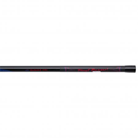 Salmo Kescherstock