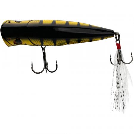  KØFI Splash Vibe 70F (Real Perch)
