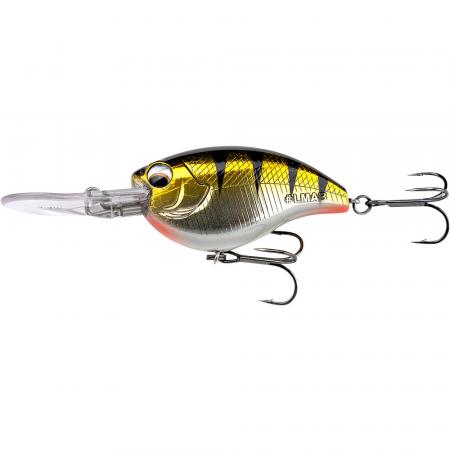  KØFI Power Vibe 55F (Real Perch)