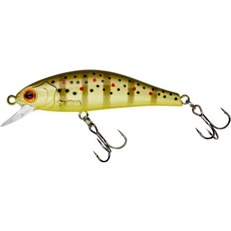  Rodan SHW (Wild Trout)