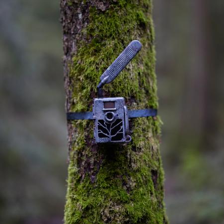  Wildlife Camera Secacam 5 (pack of 3)