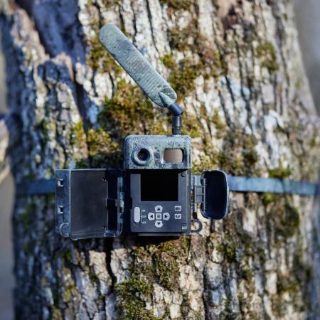  Wildlife Camera Secacam 7 (pack of 3)