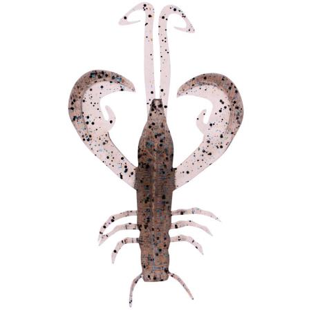  Edward (Ghost Shrimp)
