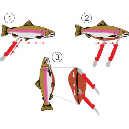 Salmo Saubermacher Messer