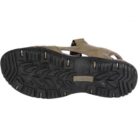 Regatta Haris Wandersandalen Herren (Walnut/TreeTop)