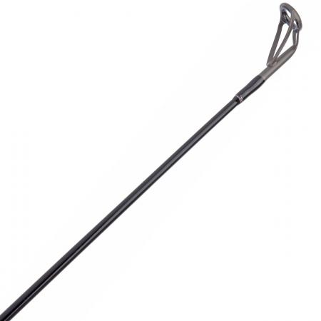 Shimano Bassterra A Seabass Spinning