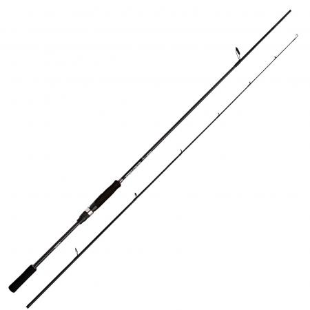 Bassterra A Seabass Spinning
