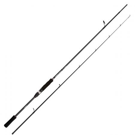 Shimano Bassterra A Seabass Spinning
