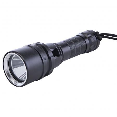  Lumen 2 FloodGuard Power Taschenlampe