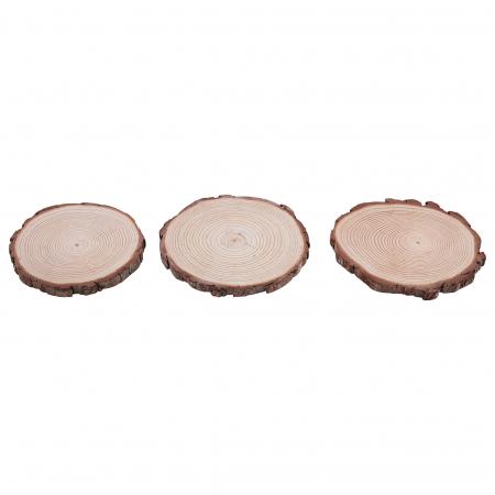  SET Trophäenbrettchen Kiefer Natur